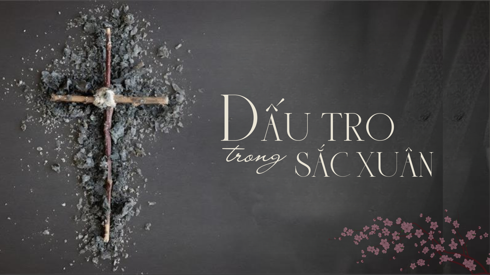 Dấu Tro trong sắc Xuân